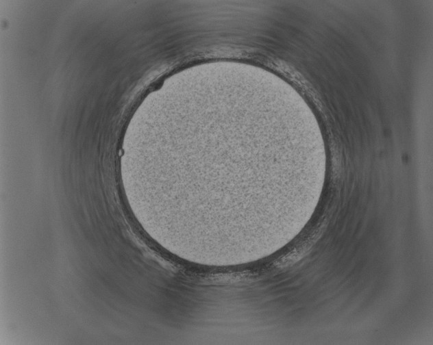 X0000078290625200612011810