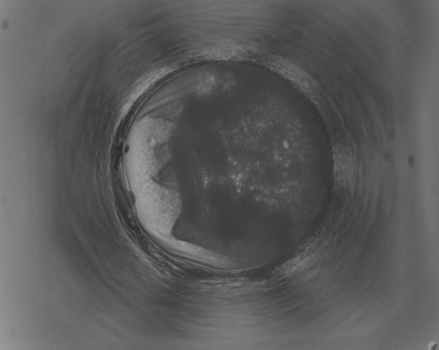 X0000078290626200612011810