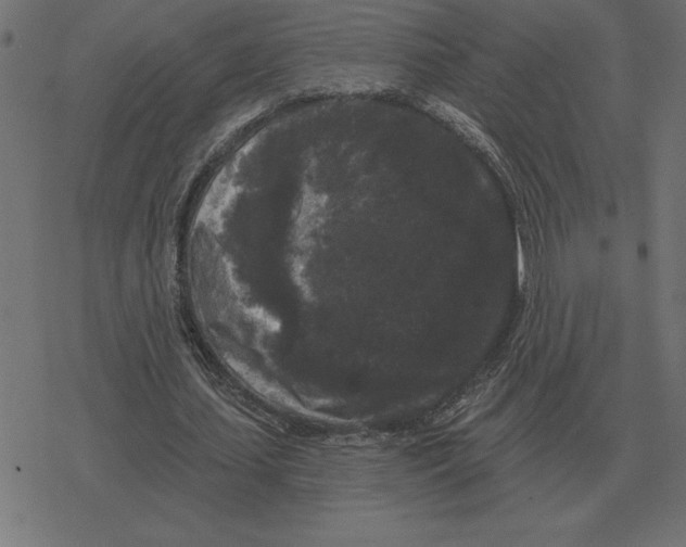 X0000078290627200612011810