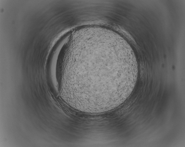 X0000078290628200612011810