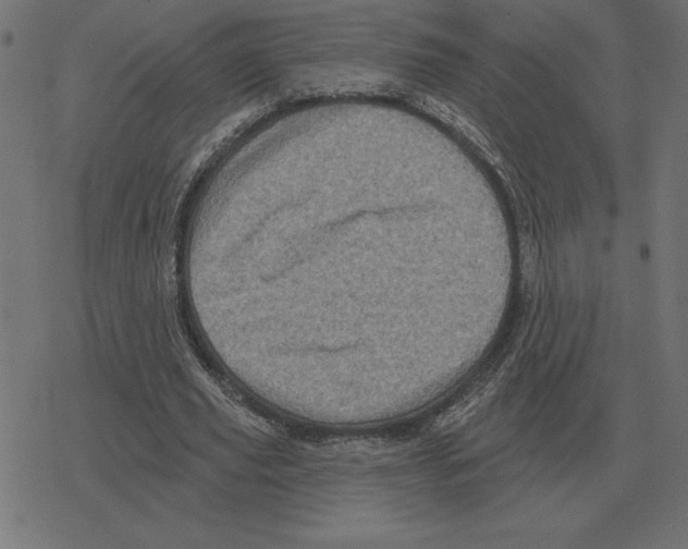 X0000078290629200612011810