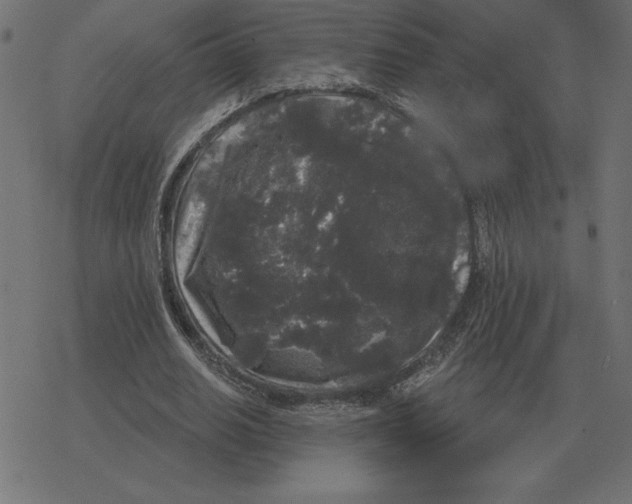 X0000078290630200612011810