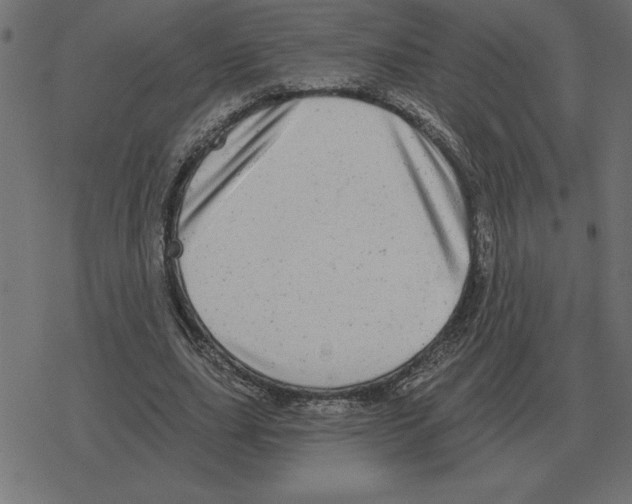 X0000078290631200612011810