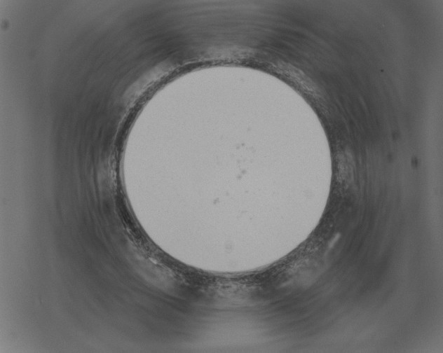 X0000078290632200612011810