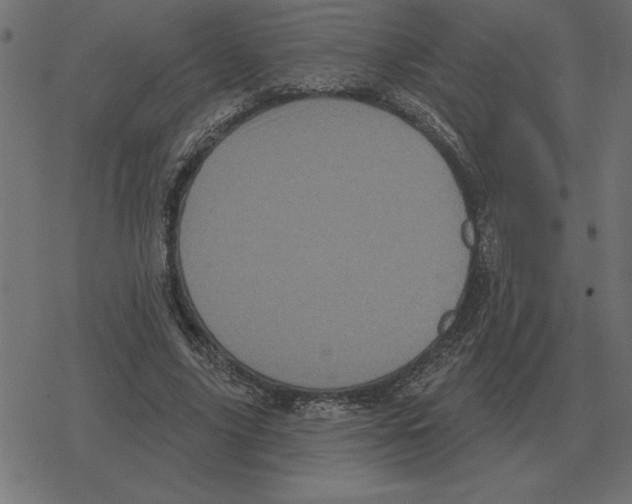 X0000078290635200612011810