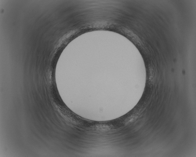 X0000078290636200612011810