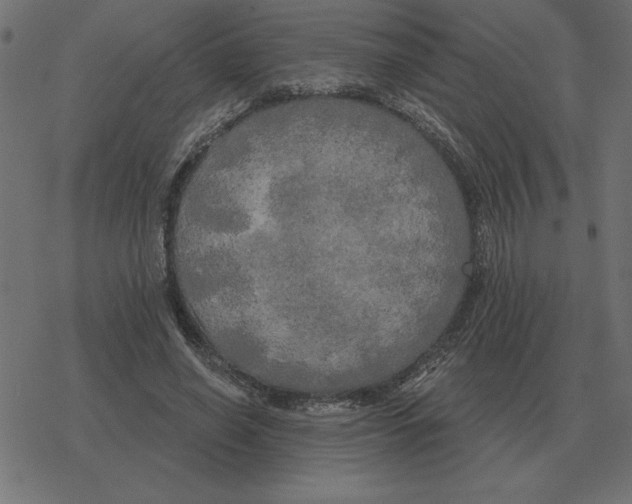 X0000078290638200612011810