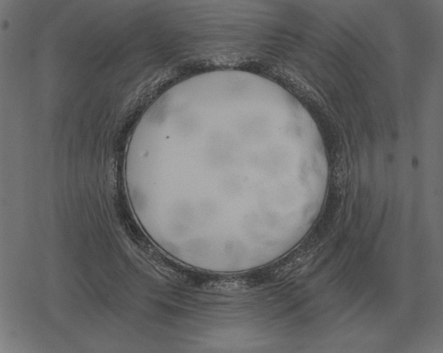 X0000078290639200612011810