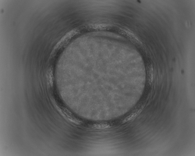 X0000078290644200612011810