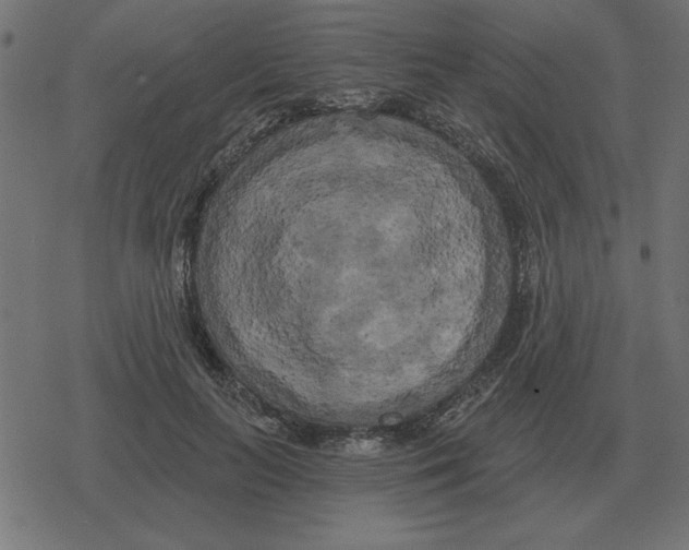 X0000078290647200612011810