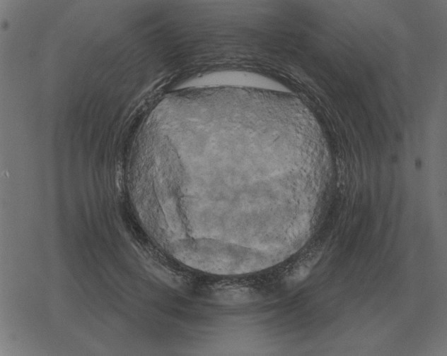 X0000078290648200612011810