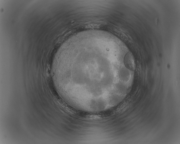 X0000078290649200612011810