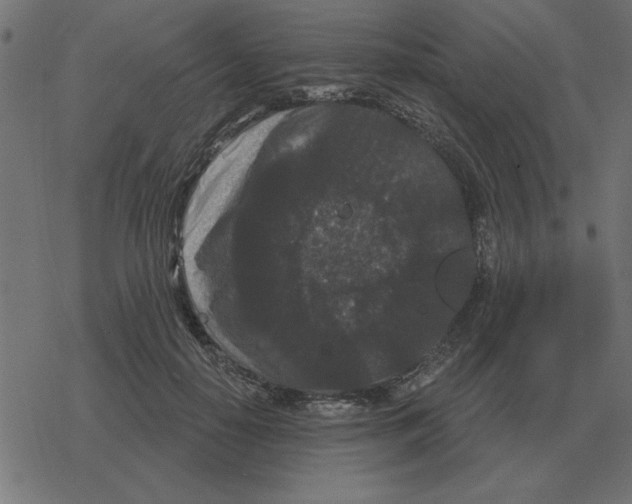 X0000078290650200612011810