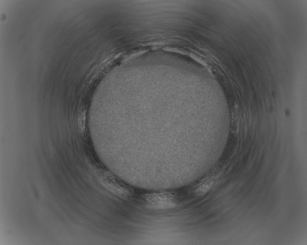 X0000078290652200612011810