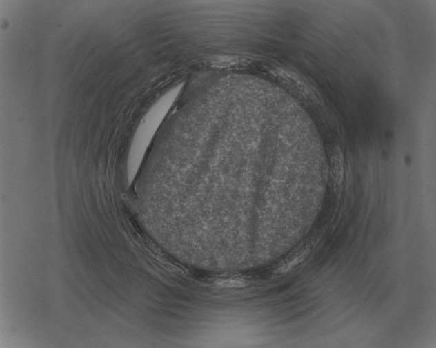 X0000078290653200612011810