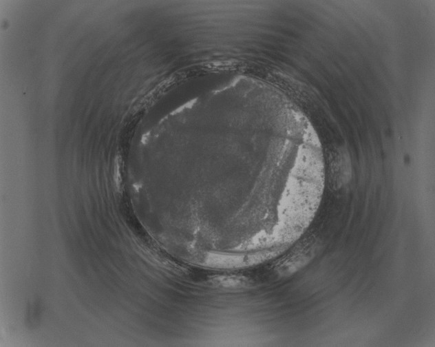 X0000078290654200612011810