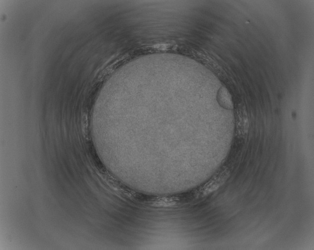 X0000078290656200612011810