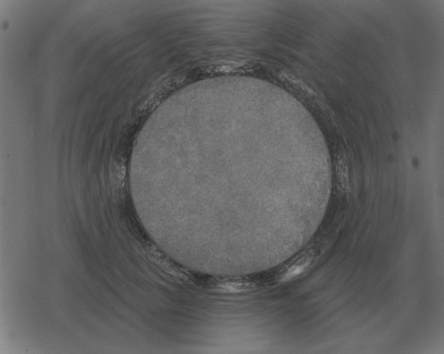 X0000078290657200612011810