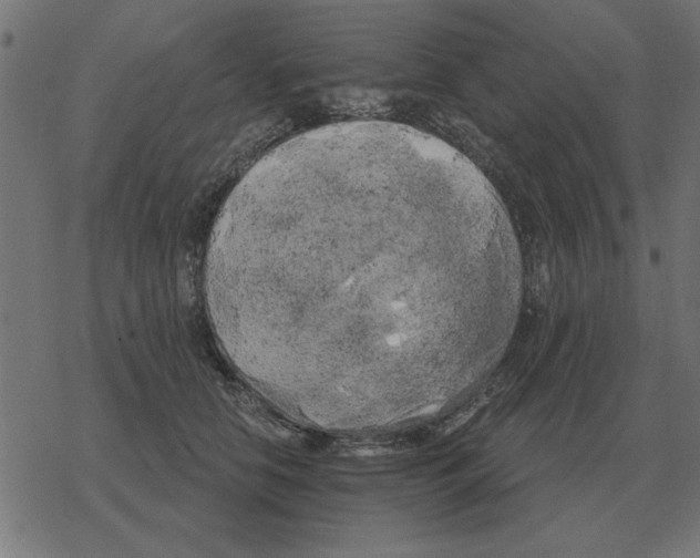 X0000078290658200612011810