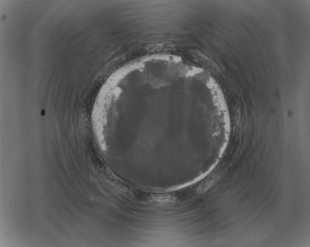 X0000078290659200612011810