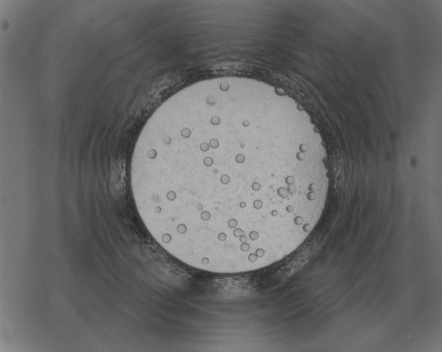 X0000078290660200612011810