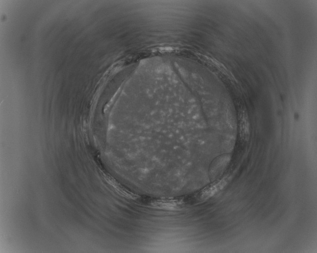 X0000078290661200612011810