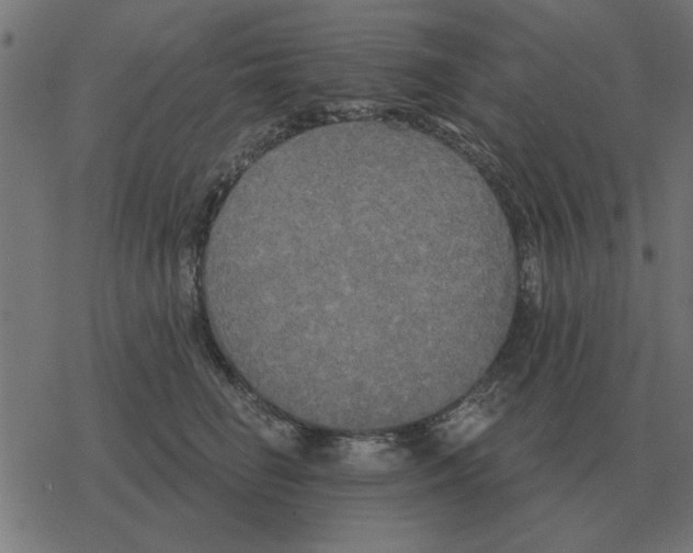 X0000078290662200612011810