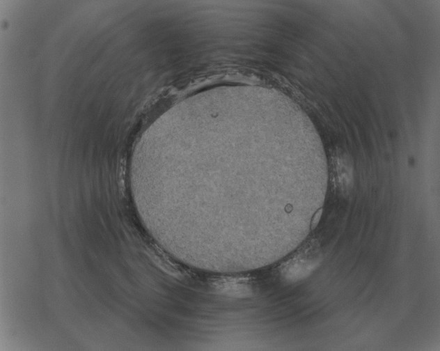 X0000078290664200612011810