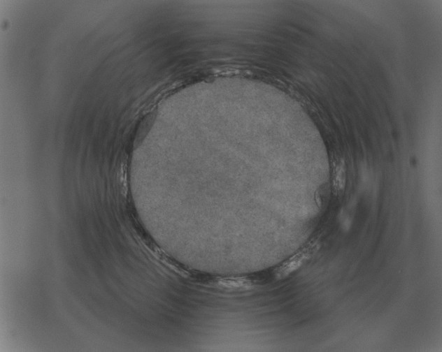 X0000078290666200612011810