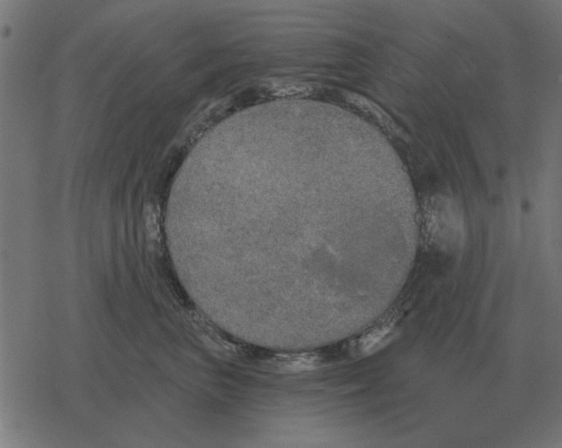 X0000078290667200612011810