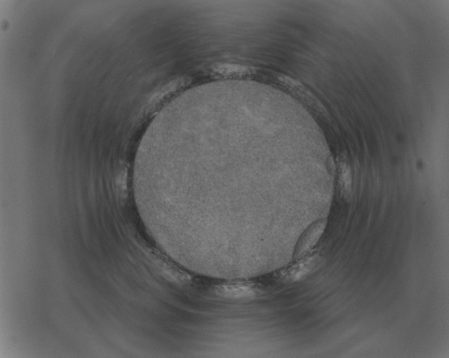 X0000078290668200612011810