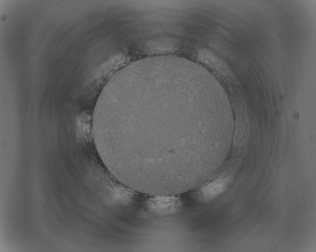 X0000078290672200612011810