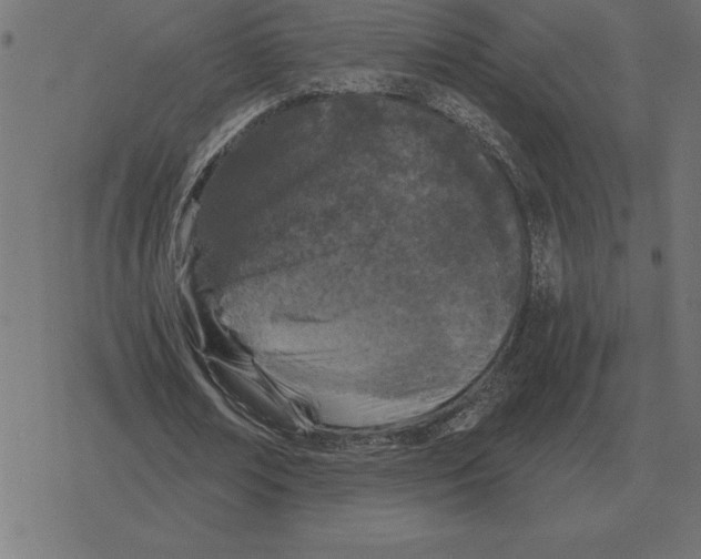 X0000078290674200612011810