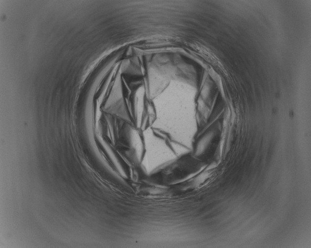 X0000078290676200612011810