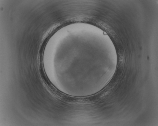 X0000078290678200612011810