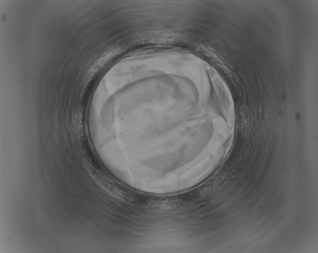 X0000078290679200612011810