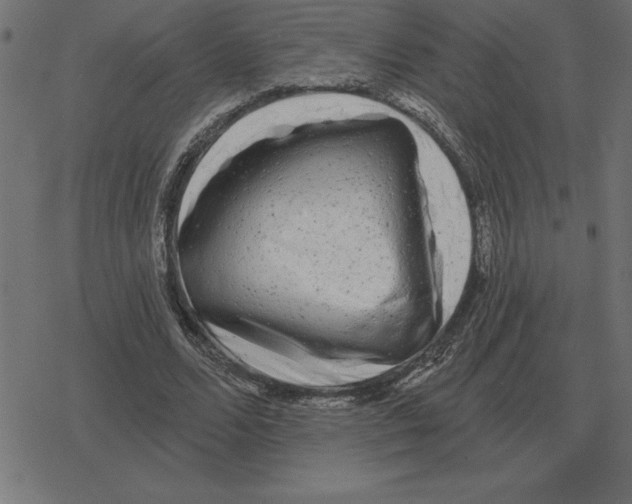 X0000078290680200612011810