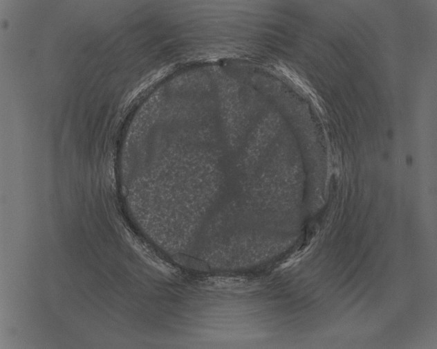 X0000078290681200612011809