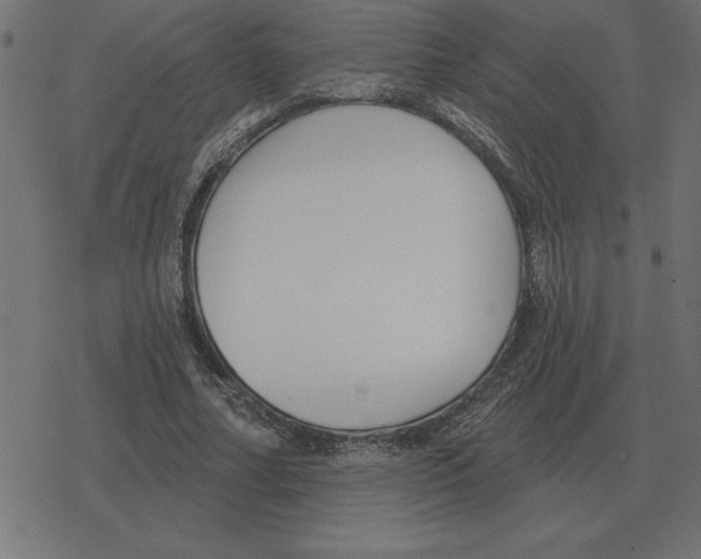 X0000078290682200612011809