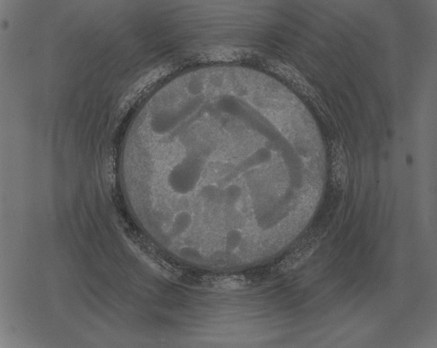 X0000078290683200612011809