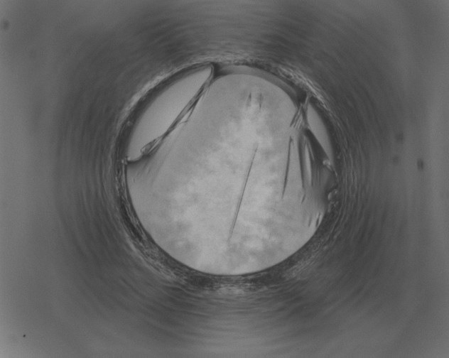 X0000078290684200612011809