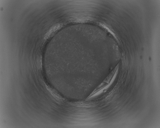 X0000078290685200612011809