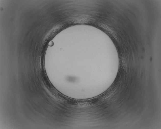 X0000078290686200612011809