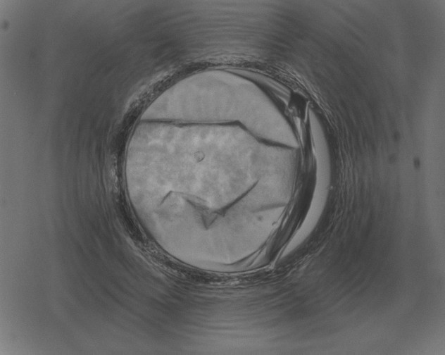 X0000078290688200612011809