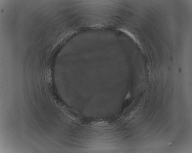 X0000078290689200612011809