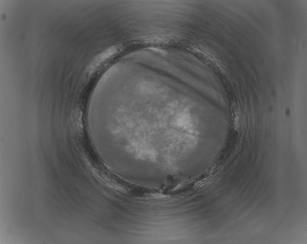 X0000078290692200612011809