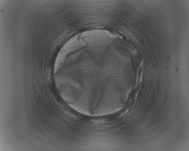 X0000078290693200612011809