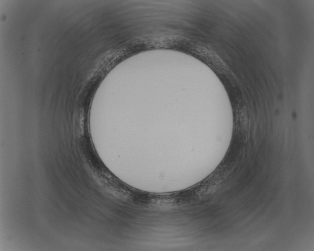 X0000078290694200612011809