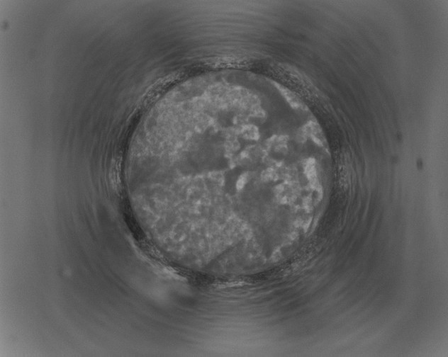 X0000078290695200612011809