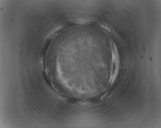 X0000078290696200612011809